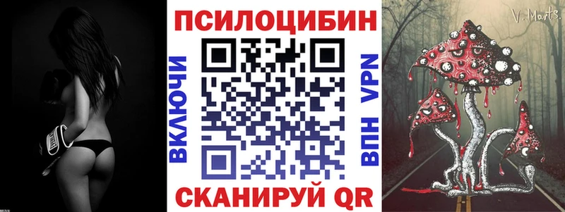 дарк нет как зайти  мега зеркало  Невьянск  Псилоцибиновые грибы мицелий 